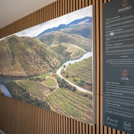 Douro River Apartman *